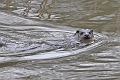 04 01 17_5441_edited-1